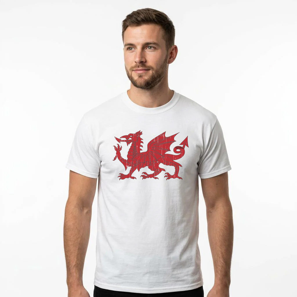 Welsh Dragon | Crewneck T-shirt
